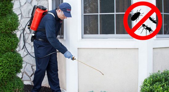 Maden Karınca İlaçlama böcek ilaçlama ve haşere kontrolü — ilaclama-tr.com